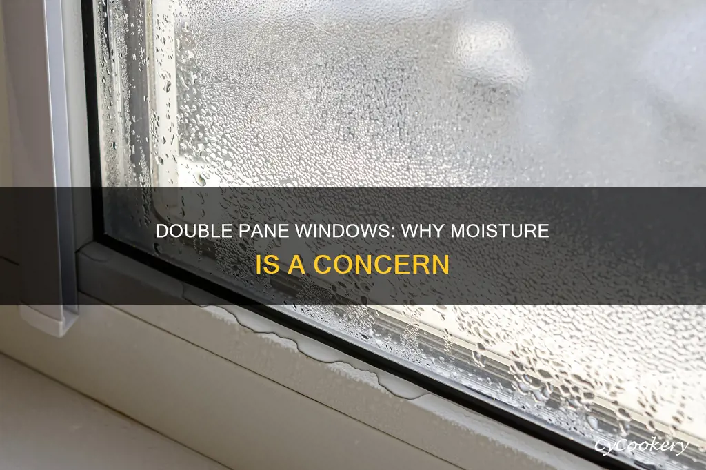 what can be about moisture in double pane windows