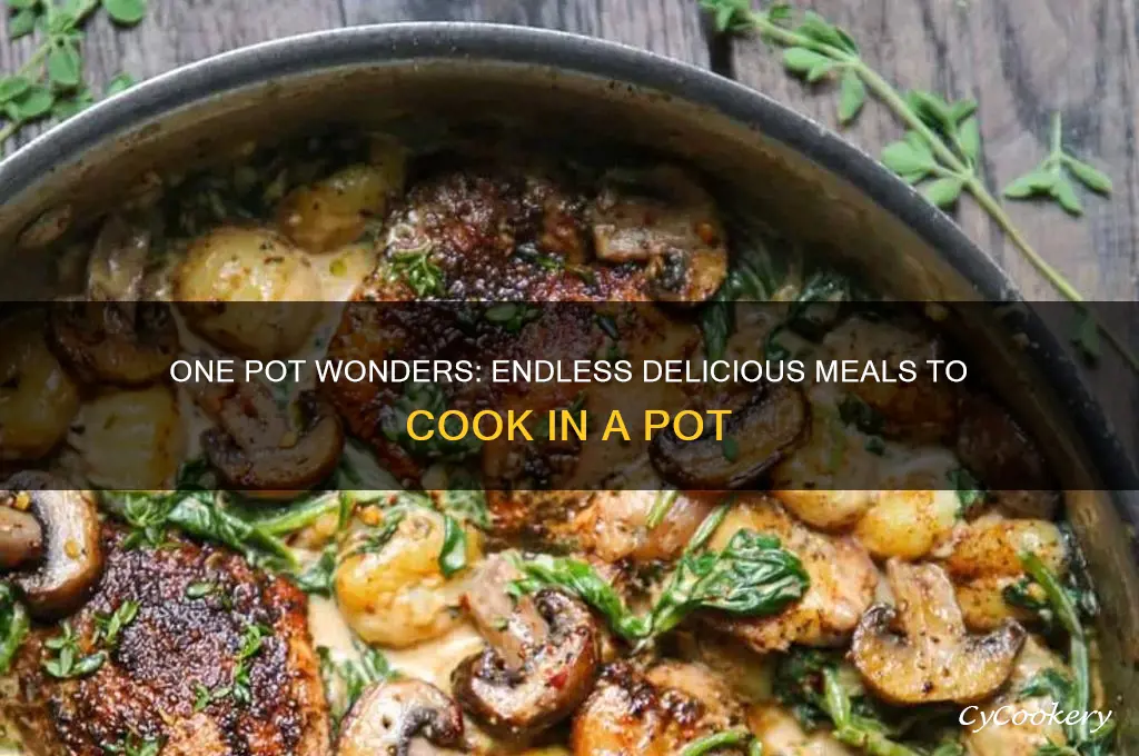 what can be cooked in a pot