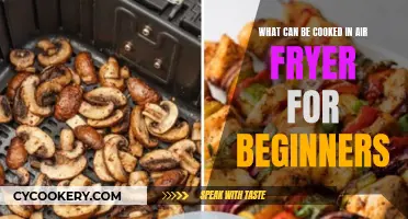 Easy Air Fryer Recipes for Beginners