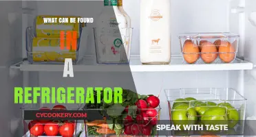 Exploring the Essentials: What’s Inside Your Everyday Refrigerator?