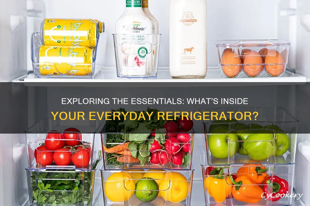 what can be found in a refrigerator
