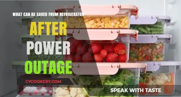 Post-Outage Fridge Rescue: What Foods Can Still Be Safely Saved?