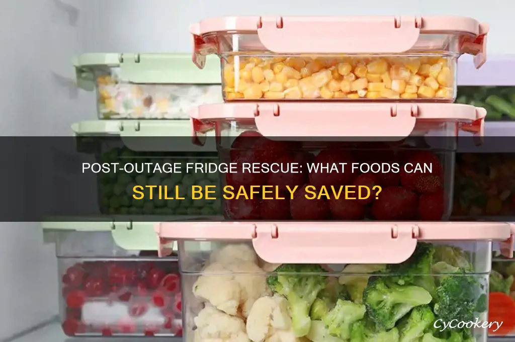 what can be saved from refrigerator after power outage