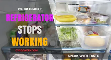 Refrigerator Down? Quick Tips to Save Your Food and Minimize Waste