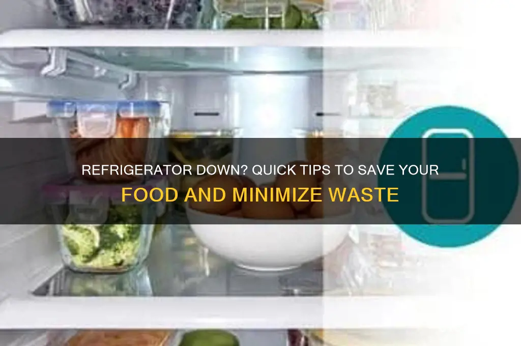 what can be saved if refrigerator stops working