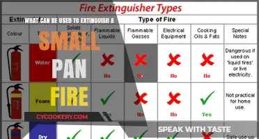 Simple Ways to Extinguish a Small Pan Fire