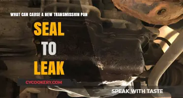 Transmission Pan Seal Leaks: Common Causes and Solutions