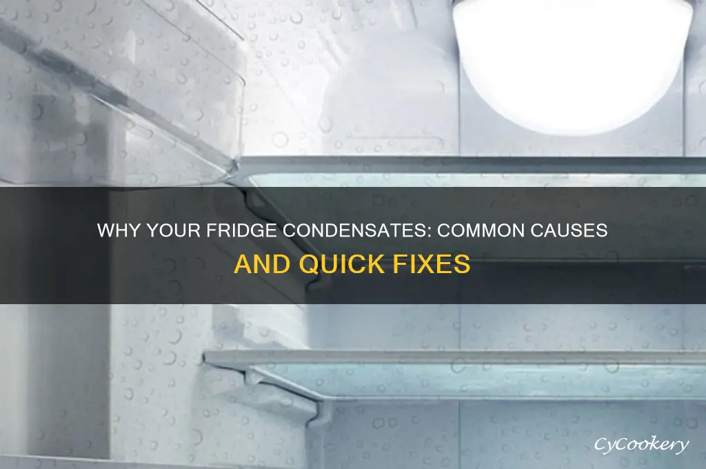 what can cause a refrigerator to condensate