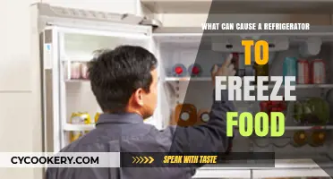 Why Your Fridge Freezes Food: Common Causes and Solutions