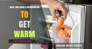 Why Your Fridge is Warm: Common Causes and Quick Fixes