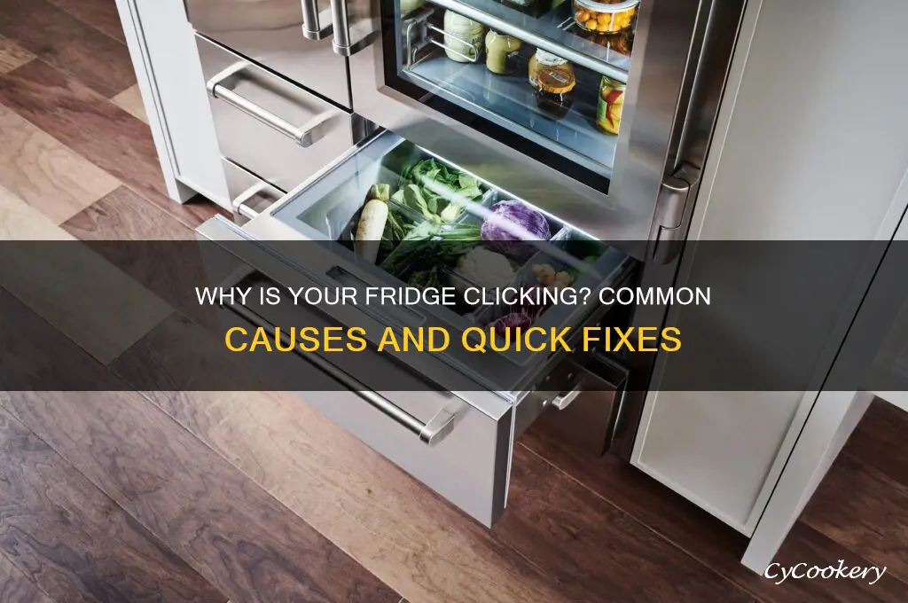 what can cause a refrigerator to make a clicking noise