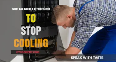 Why Your Fridge Isn't Cooling: Common Causes and Fixes