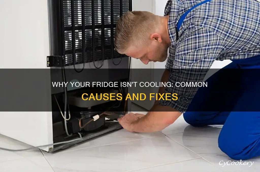 what can cause a refrigerator to stop cooling