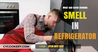 Why Your Fridge Smells Like Burning: Common Causes and Fixes