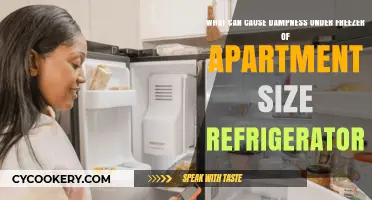 Why Is There Dampness Under My Apartment-Sized Fridge? Causes Explained