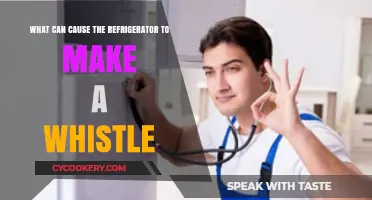 Why Is Your Fridge Whistling? Common Causes and Quick Fixes