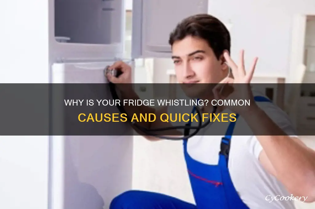 what can cause the refrigerator to make a whistle