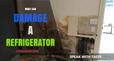 Common Mistakes That Can Damage Your Refrigerator and How to Avoid Them
