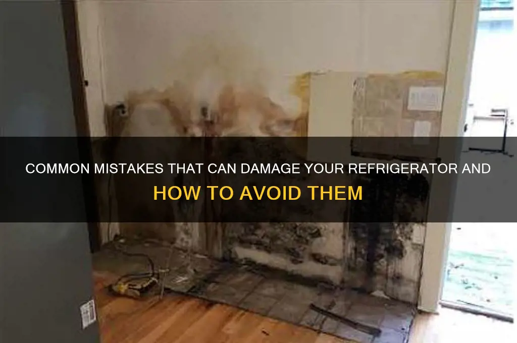 what can damage a refrigerator