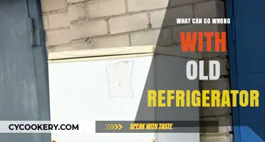 Aging Fridges: Common Issues and Hidden Dangers to Watch For