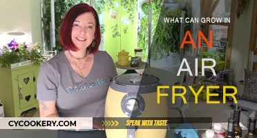 Creative Air Fryer Gardening: What Plants Can You Grow?