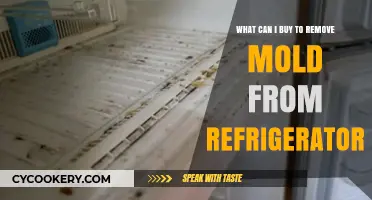 Effective Mold Removal Products for Your Refrigerator: A Comprehensive Guide