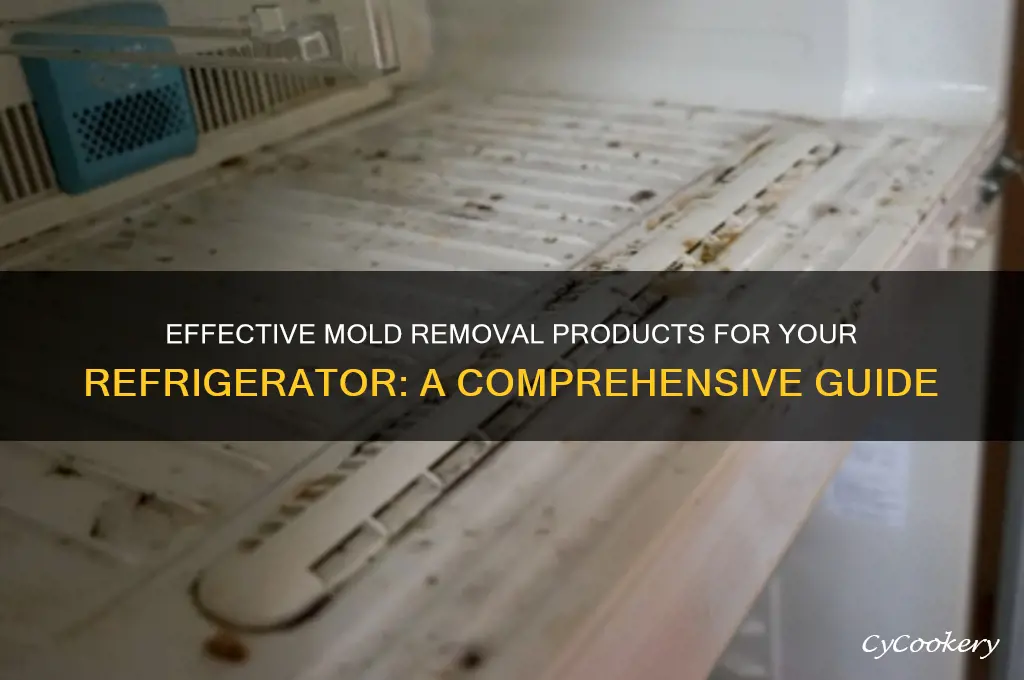 what can i buy to remove mold from refrigerator