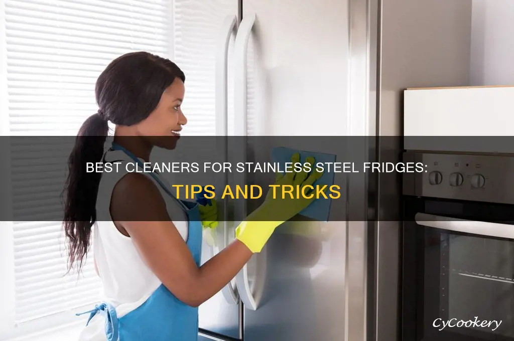 what can i clean a stainless steel refrigerator with