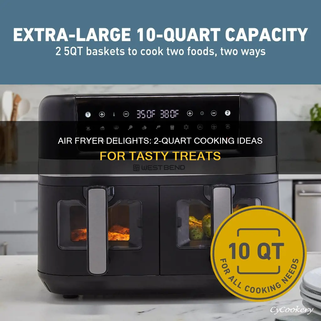 what can i cook in a 2 quart air fryer