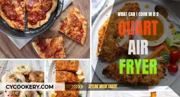 Air Fryer Magic: 2-Quart Capacity, Endless Delicious Possibilities