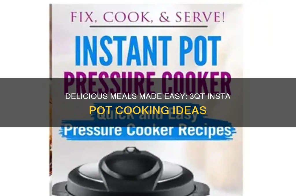 what can I cook in a 3qt insta pot