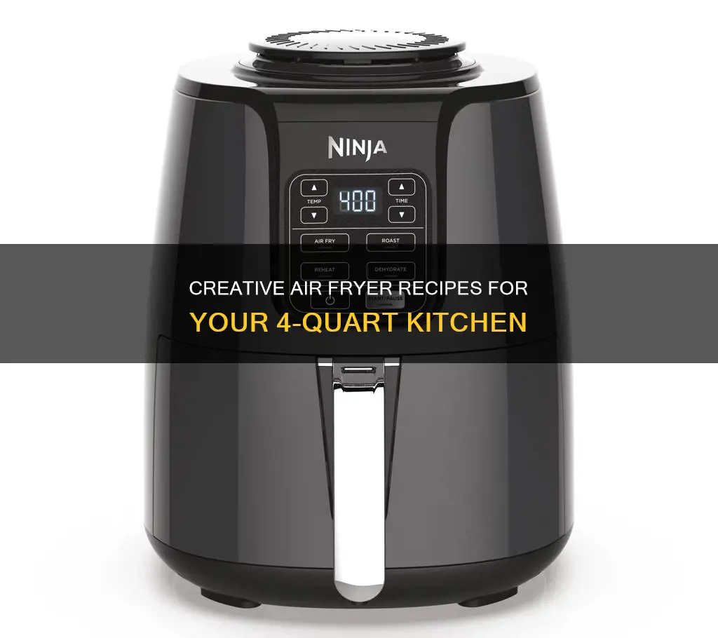what can i cook in a 4 qt air fryer