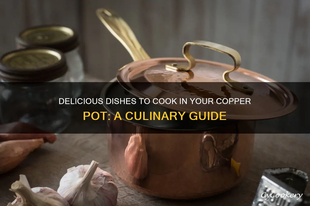what can I cook in a copper pot
