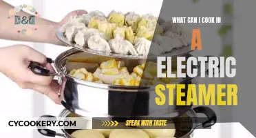 Creative Electric Steamer Recipes for Delicious Meals