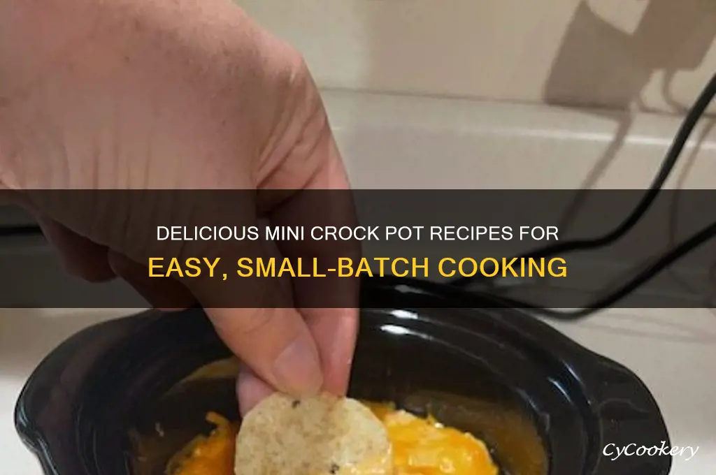 what can I cook in a mini crock pot
