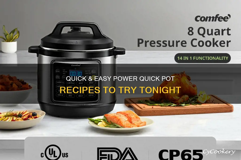 what can I cook in a power quick pot