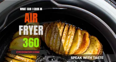 Creative Air Fryer 360 Cooking Ideas for Foodies