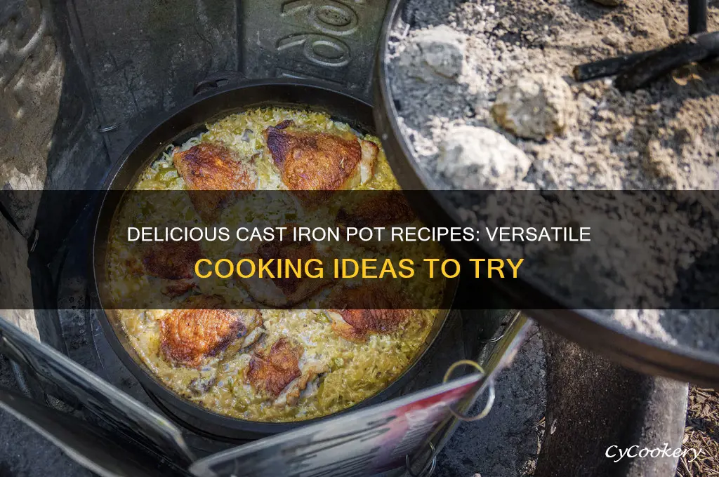what can I cook in cast iron pot