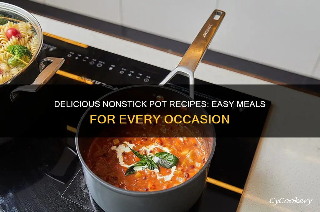 what can I cook in nonstick pot