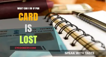 How to Get a New PAN Card if Lost?