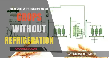 Effective Crop Storage Solutions: Preserving Harvests Without Refrigeration