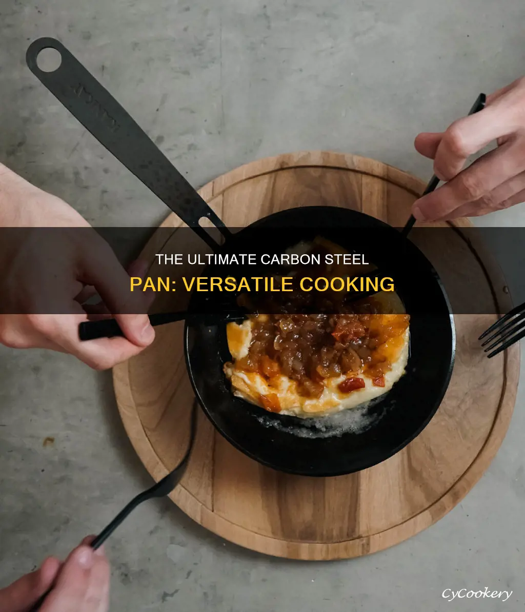 what can I do with carbbon steel pan