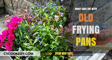 Creative Ways to Upcycle Old Frying Pans