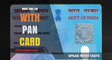 Explore the Power of Your PAN Card