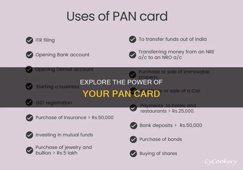 what can I do with pan card