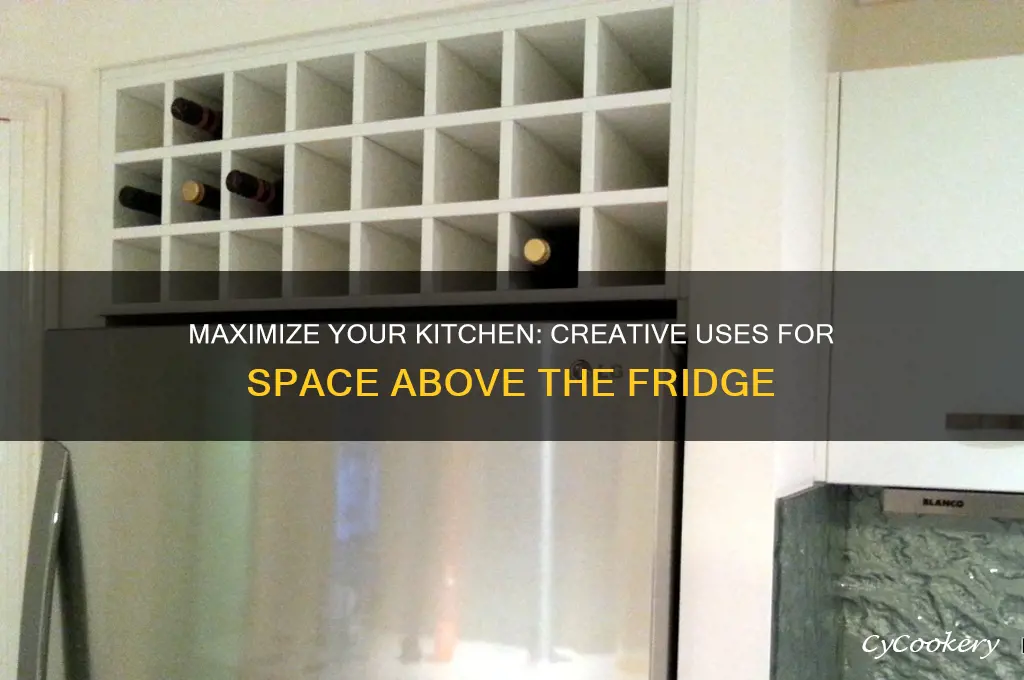 what can i do with the space above my refrigerator