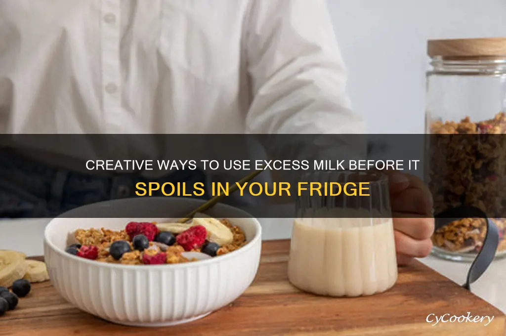 what can i do with too much milk for refrigerator