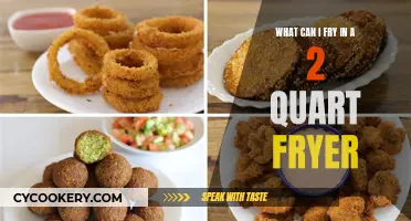 Fryer Feasts: 2-Quart Capacity Ideas