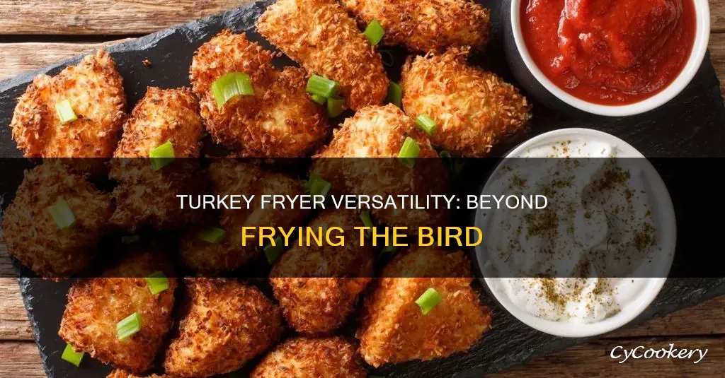 what can i fry in a turkey fryer