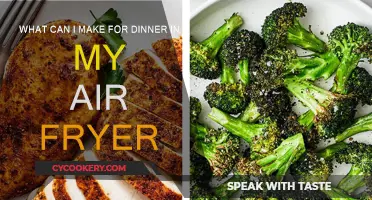 Air Fryer Dinner Ideas for Quick, Easy Meals